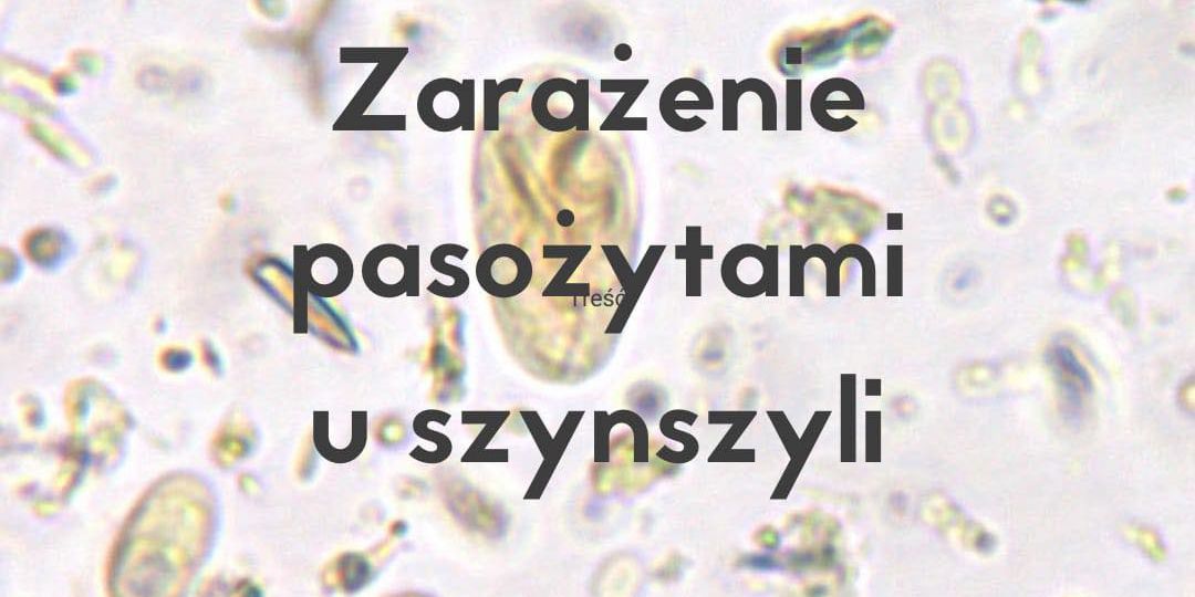 pasożyty 5