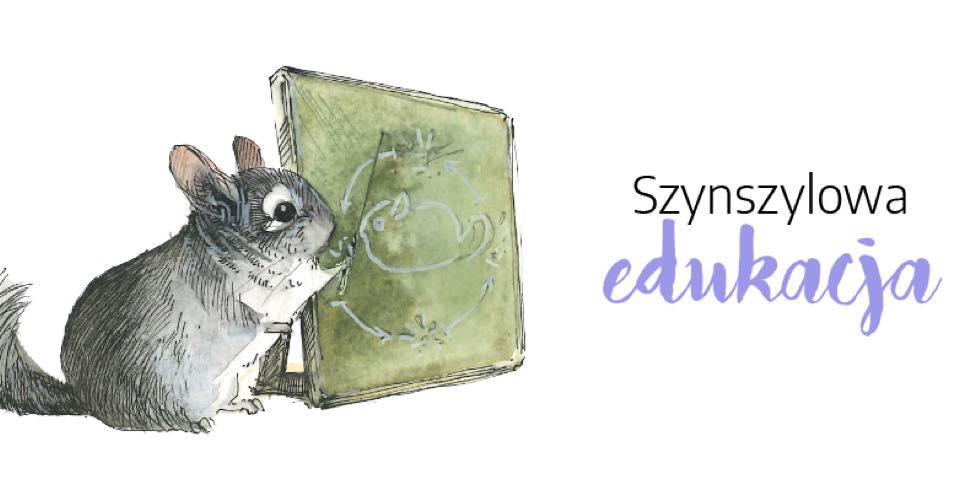 Szynszylowe ABC w praktyce