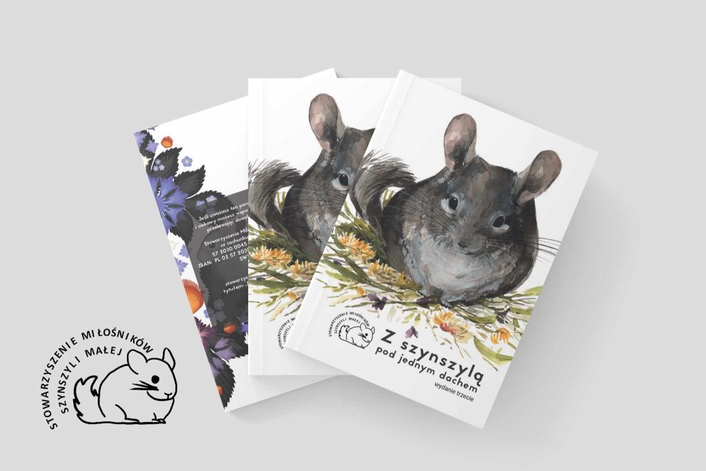 Z szynszylą pod jednym dachem